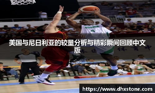 美国与尼日利亚的较量分析与精彩瞬间回顾中文版